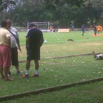 Tolima Nariño cierre del nacional juvenil de fútbol