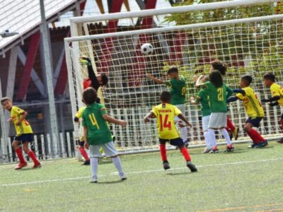 Programación oficial Liga de Fútbol del Tolima